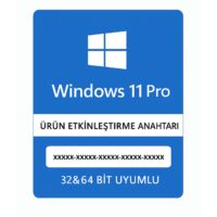 Windows 10/11 Key